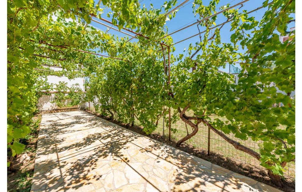 Apartment Neven Привлака Екстер'єр фото